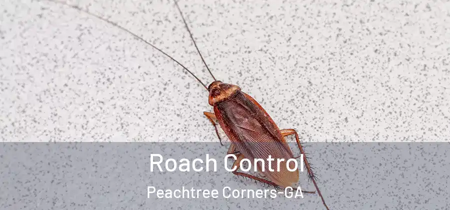 Roach Control Peachtree Corners-GA