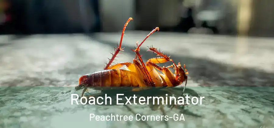 Roach Exterminator Peachtree Corners-GA