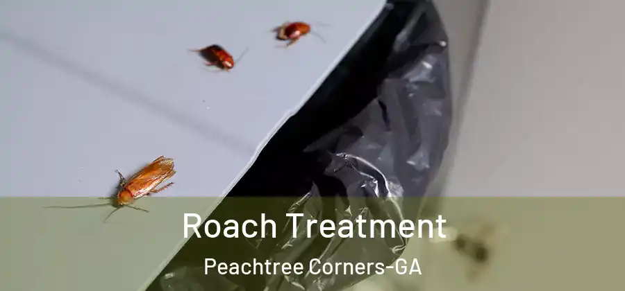 Roach Treatment Peachtree Corners-GA