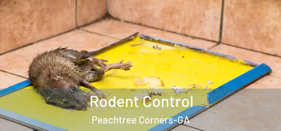 Rodent Control Peachtree Corners-GA