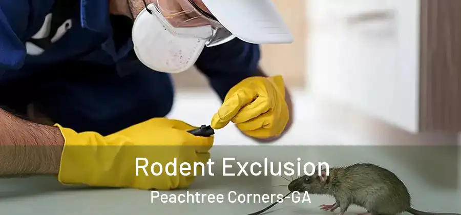 Rodent Exclusion Peachtree Corners-GA