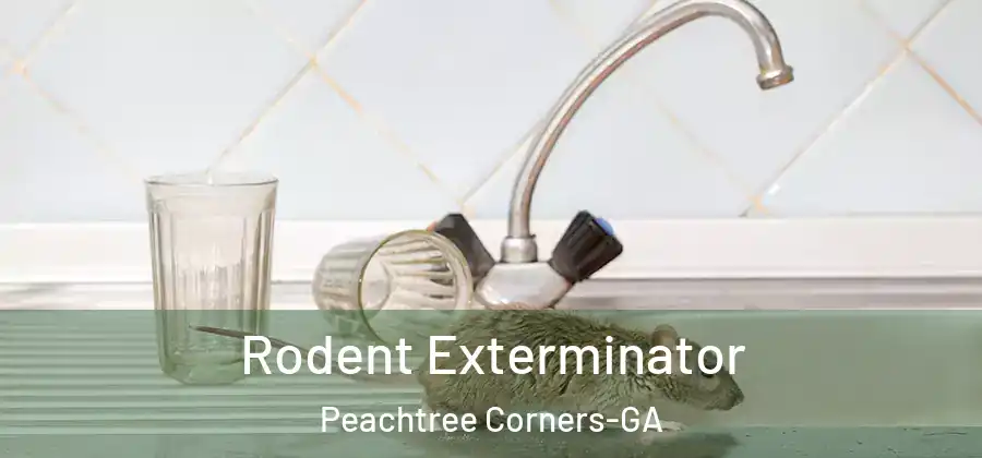 Rodent Exterminator Peachtree Corners-GA
