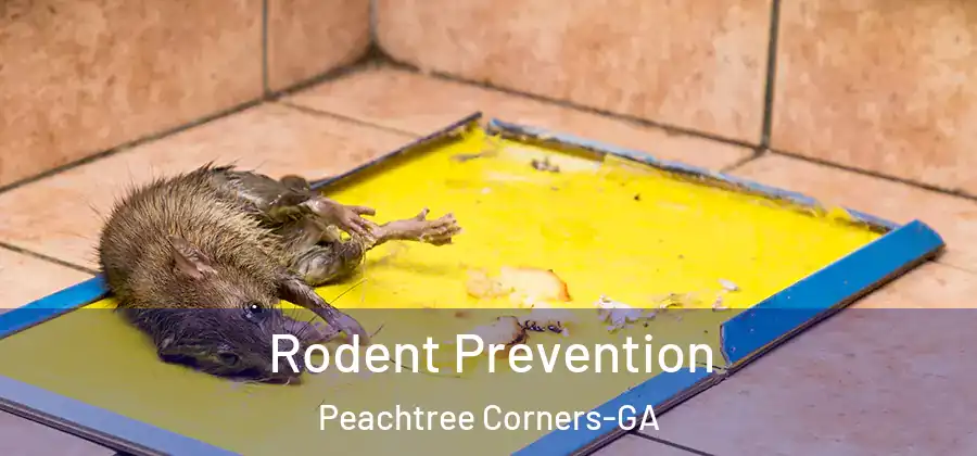 Rodent Prevention Peachtree Corners-GA