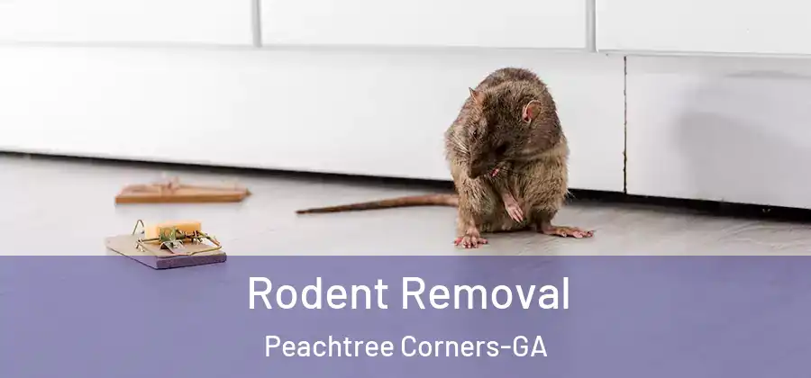 Rodent Removal Peachtree Corners-GA