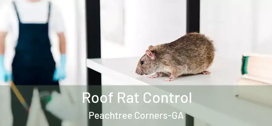 Roof Rat Control Peachtree Corners-GA