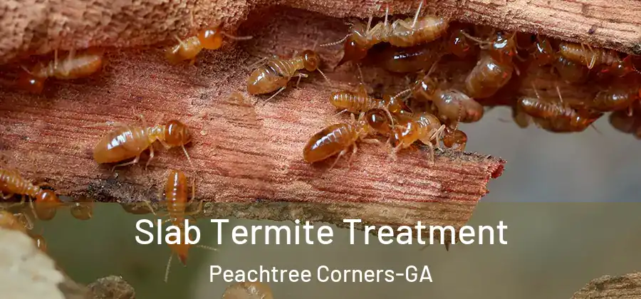  Slab Termite Treatment Peachtree Corners-GA