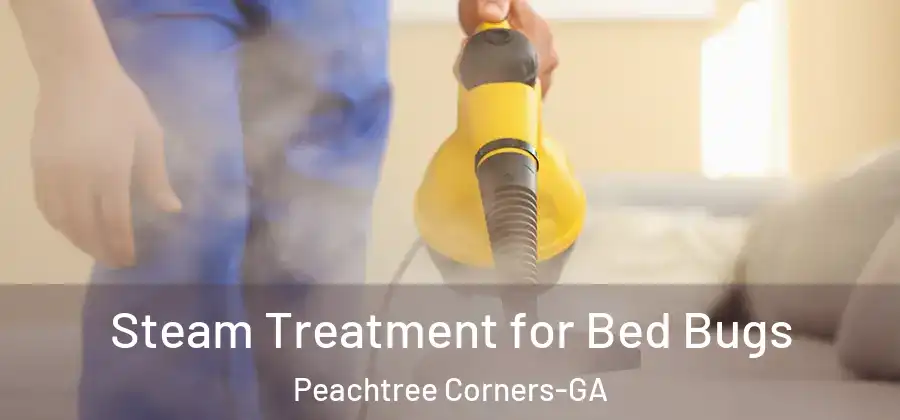  Steam Treatment for Bed Bugs Peachtree Corners-GA