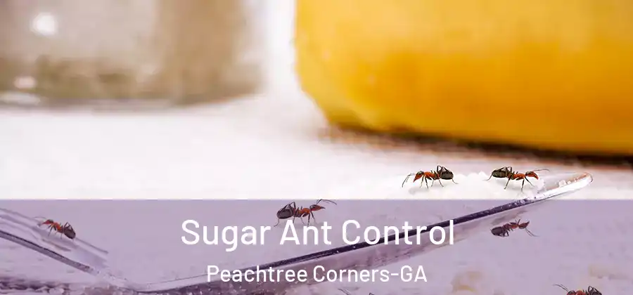 Sugar Ant Control Peachtree Corners-GA