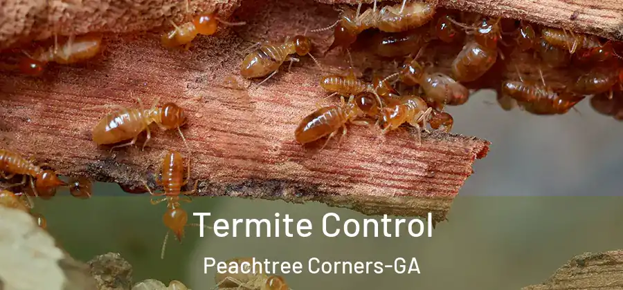  Termite Control Peachtree Corners-GA