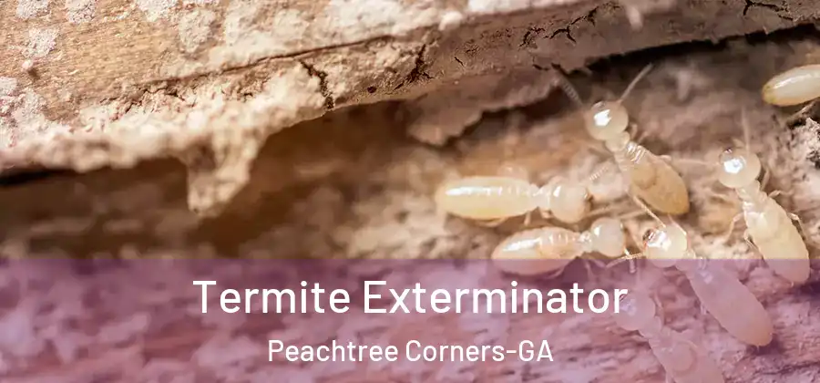  Termite Exterminator Peachtree Corners-GA