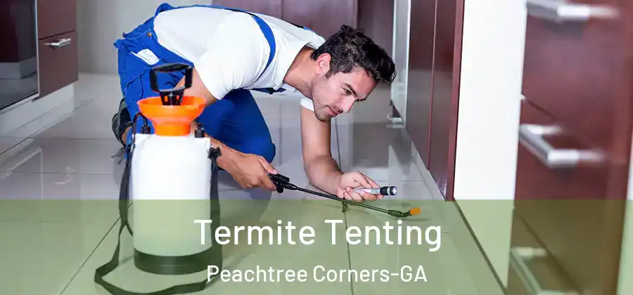 Termite Tenting Peachtree Corners-GA
