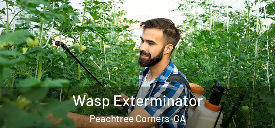 Wasp Exterminator Peachtree Corners-GA
