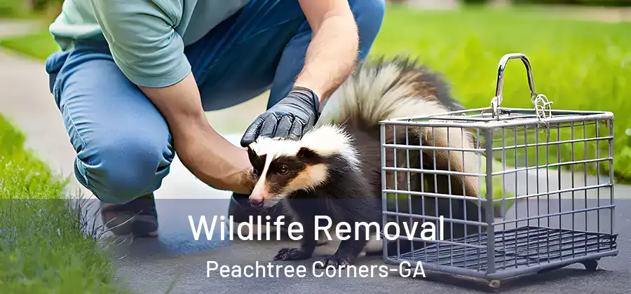 Wildlife Removal Peachtree Corners-GA