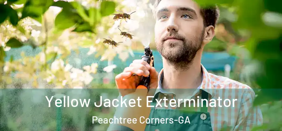 Yellow Jacket Exterminator Peachtree Corners-GA