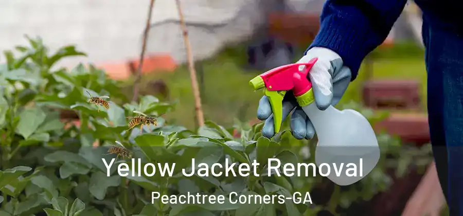  Yellow Jacket Removal Peachtree Corners-GA